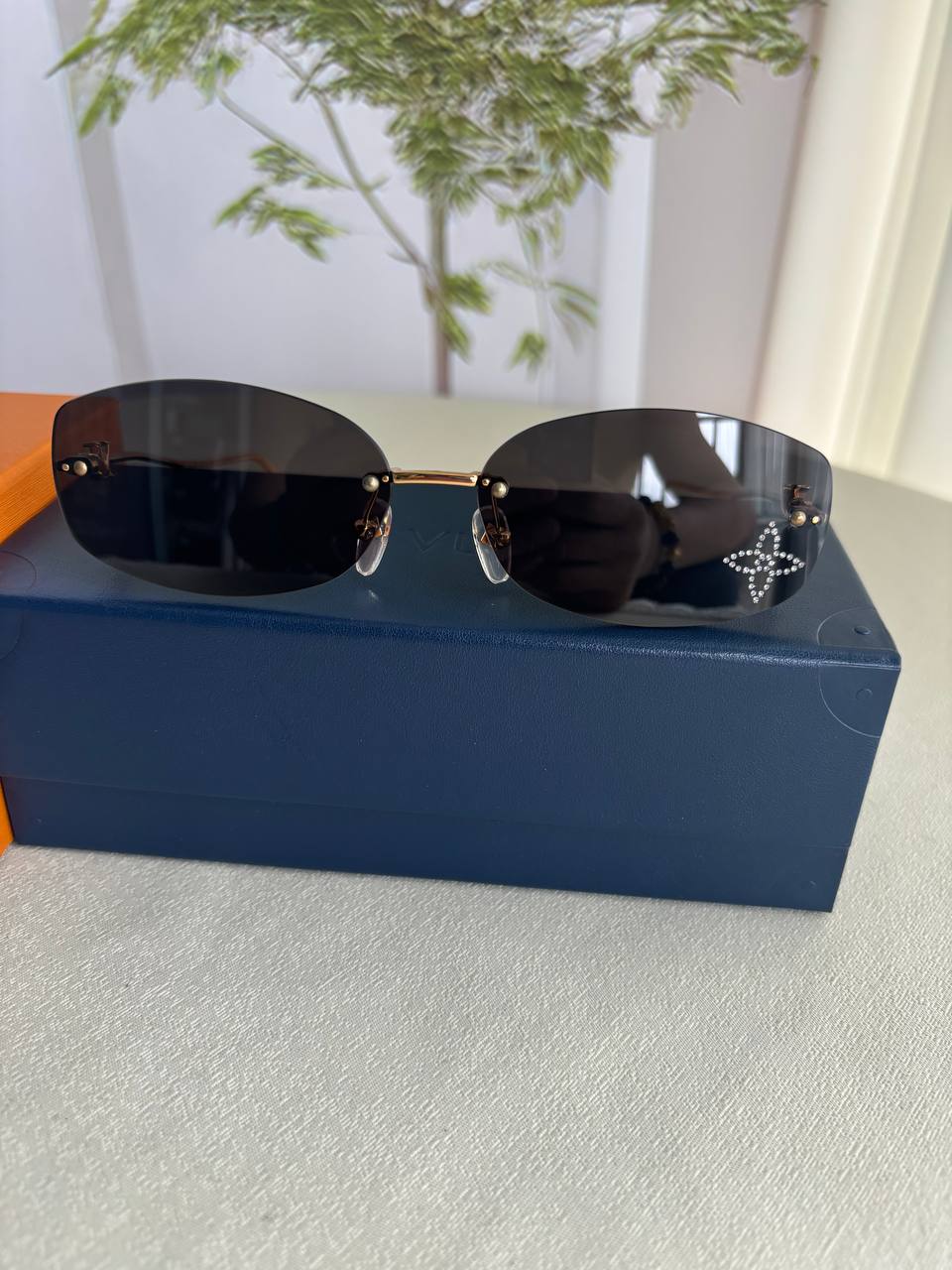 Logo Sunglasses