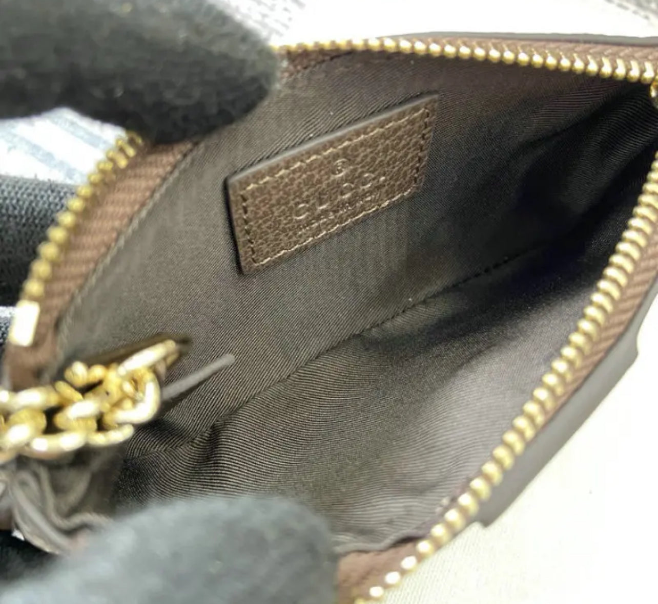 Ophidia Coin Purse