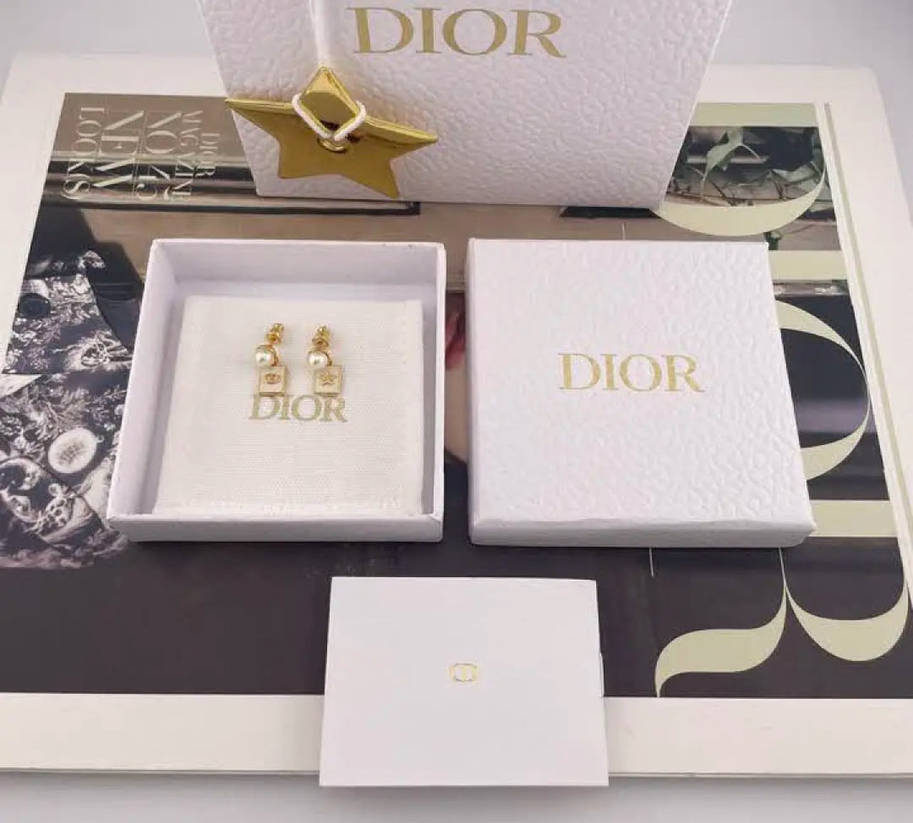 Logo Earrings