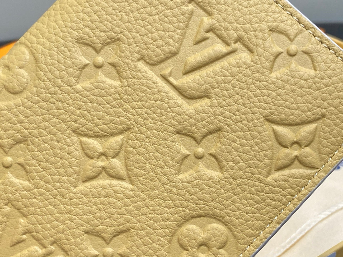 Passport Cover